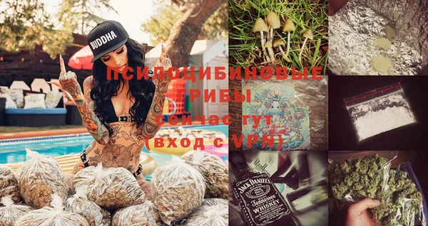 стаф Алексеевка