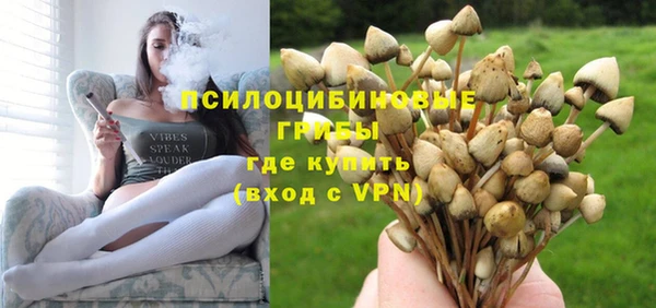 mix Алексин