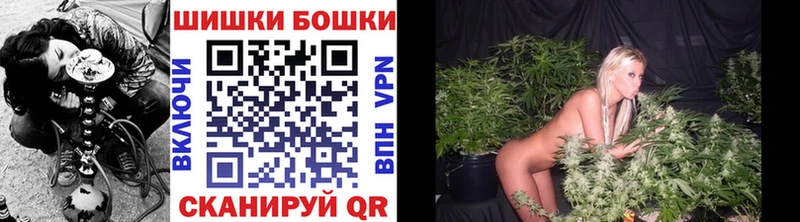 закладки  Межгорье  Канабис ГИДРОПОН 